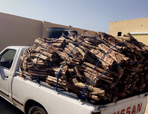 "زراعة الليث" تصادر حمولة سيارتين من الحطب