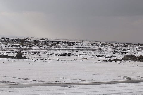 "رحمة" تسقي الديار وتُجري الشعاب وتكسي الأرض البياض بالخرمة وتربة ورنية
