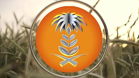 "الحبوب" تُنهي إجراءات ترسية استيراد 945 ألف طن من الشعير