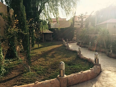 مجهولون يسرقون ذهبًا وأموالاً وكلاب حراسة مفترسة من استراحة بالطائف