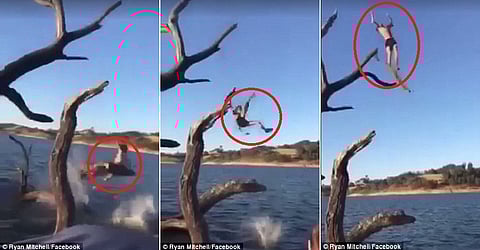 فيديو طريف.. شجرة وثلاث ضربات في قفزة مؤلمة إلى الماء