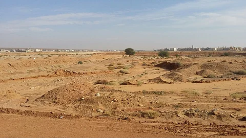 بالفيديو والصور.. "منح الأرامل والأيتام" داخل الأودية بشقراء