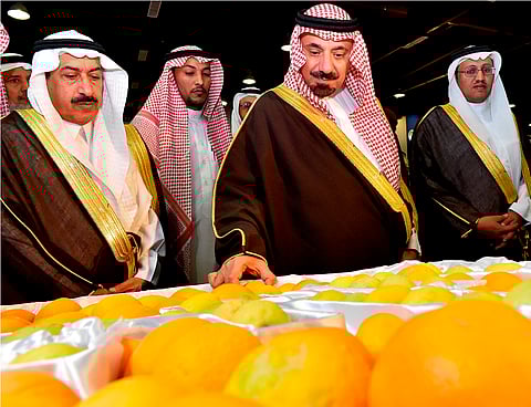 أمير نجران: المملكة قارة.. والأمن سر استقرارنا ومتانة اقتصادنا