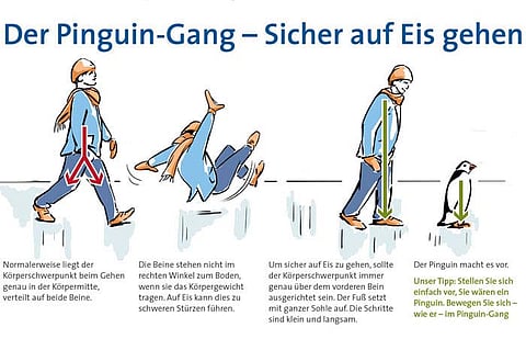 لماذا نصح الأطباء الألمان بالمشي مثل البطريق؟!