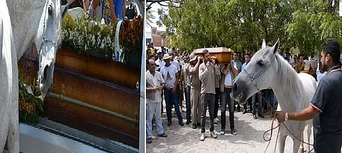 بالفيديو .. حصان يضع رأسه على نعش صاحبه ويبكي