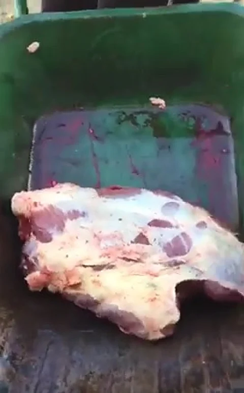 ترحيل عامل في مسلخ بحائل .. استقطع جزءاً من ذبيحة عميل