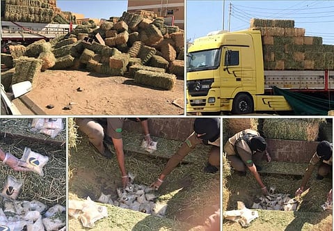 "المخدرات" تحبط تهريب 623 ألف قرص مخدر في طريقها إلى جدة