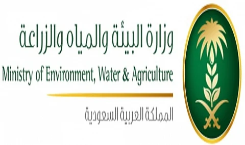 "البيئة" تدعو "وسائط النزهة البحرية" للتقيد بالضوابط الجديدة
