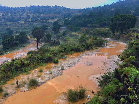 برنامجان لخدمة القطاع الزراعي و6 فرص استثمارية في احتفالات أبها عاصمة السياحة العربية