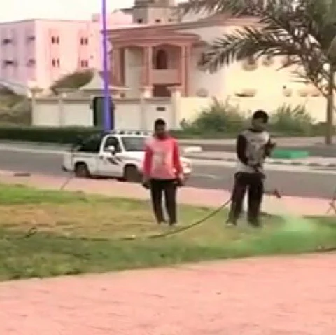 قبل زيارة أمير عسير.. بلدية المجاردة تزيِّن مسطحات الحدائق