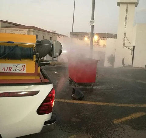 حملة لأمانة الطائف تسفر عن التخلص من 300 كلب ضال
