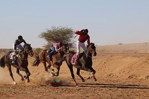 "جاكم" و"منيع الخالدية" يخطفان أول المراكز في "سباق السليمي"