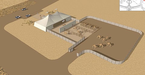 "مزايين الإبل" يعلن بدء التسجيل لـ"الدلالة".. و"العدد محدود"