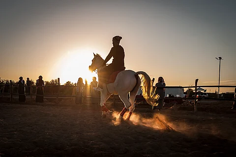 ميدان الفروسية بتبوك: حلم عاشقي الخيل منذ عشرين عاماً يضيع بالوعود الزائفة