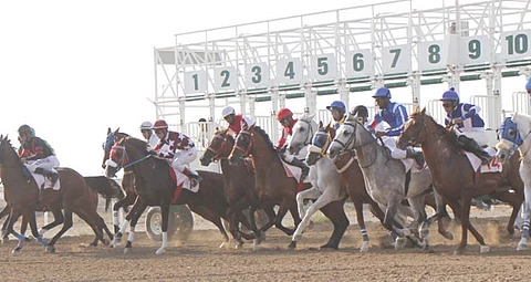 انطلاق سباق الخيل الـ16 على كأس ودروع "المالية" و"اللجنة التنفيذية" غداً