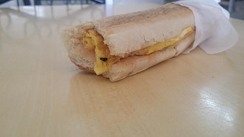 "سندوتش" بالذباب في بوفيه بـ"ثرمداء الرياض"