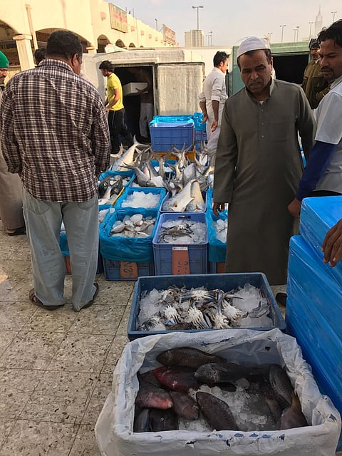 مكة.. مصادرة وإتلاف 500 كيلو من الأسماك غير الصالحة بالشوقية