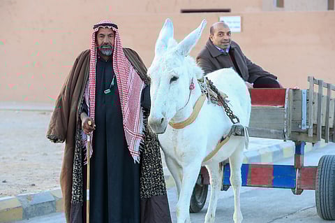 بالصور.. "القاري والعم علي" يكشفان تفاصيل مثيرة عن كواليس أجنحة مهرجان الجنادرية
