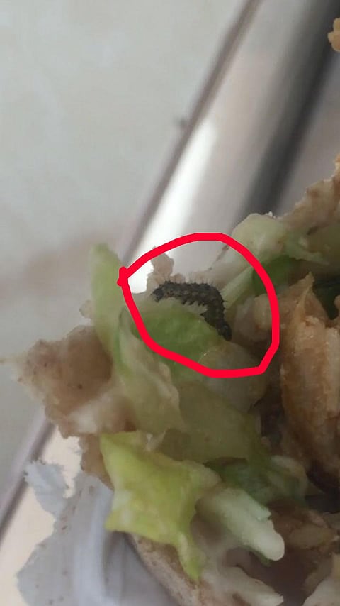 "دودة" في شاورما تُغلق مطعماً للوجبات السريعة بالمحاني شمال الطائف