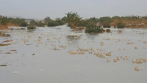 شاهد.. الأمطار تغري أهالي "الحريق" بالخروج للتنزه