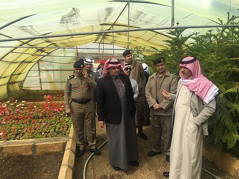 "بلدية النماص" تقيم مشتلاً للأشجار والورود بجهودها الذاتية