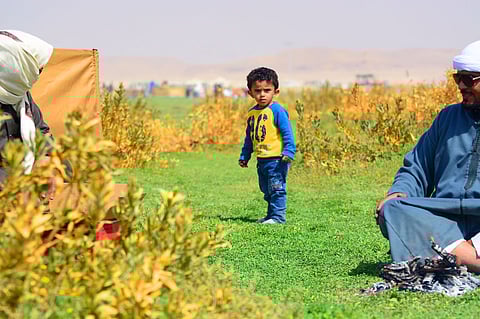 بالصور.. فيضة "نورة" شمال الرياض.. "روض ونفل وفرح"