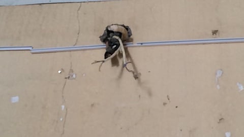 تماس كهربائي يخلي 255 طالبة ابتدائية في محافظة تربة ..ولا إصابات