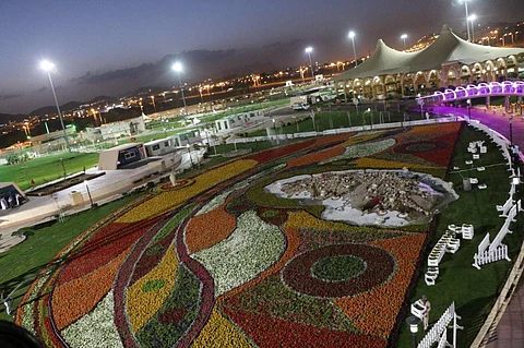 أمانة الطائف تنشئ أكبر سجادة ورود وزهور بمتنزه الردف