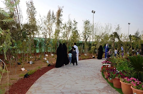 "الهويمل": غابة من الأشجار داخل مهرجان ربيع الرياض 13