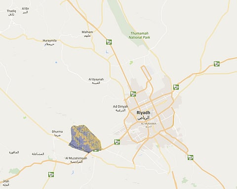 سعوديون يبتهجون بـ "مشروع القدية الكبير": وظائف ومليارات