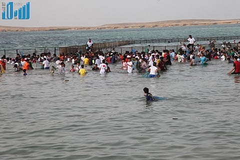 "الفرسانيون" يتأهبون للاحتفال بـ "ببغاء البحر" في تظاهرتهم السنوية.. غدًا