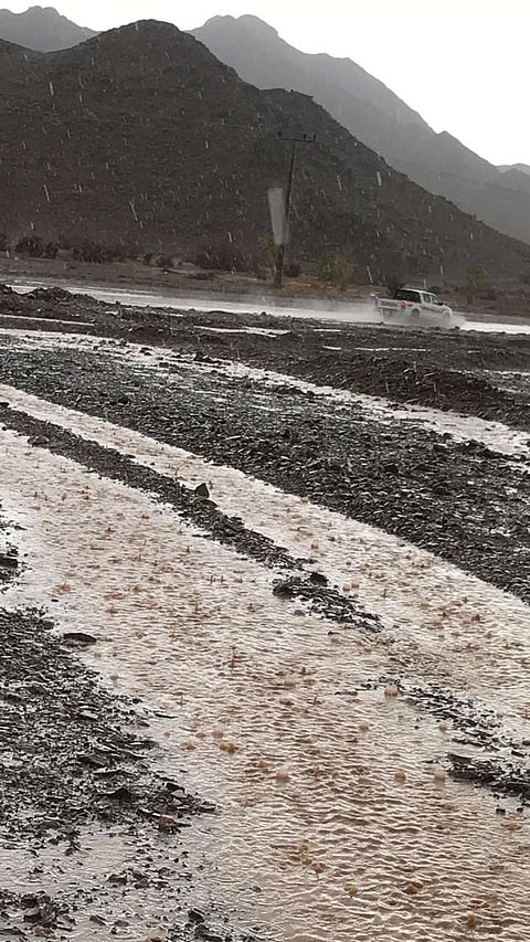 أمطار "العيص" تدفع الأهالي للخروج والاستمتاع بالأجواء الرائعة