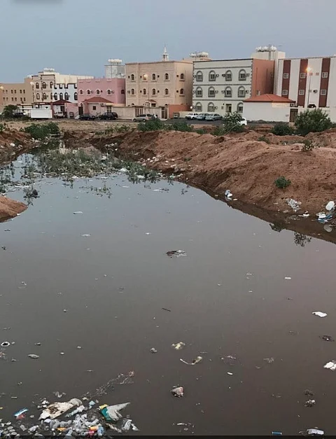 مستنقع ملوّث يهدد أطفال مخطط الروضة بـ"حويّة الطائف"