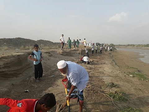 شاهد.. شراكة مجتمعية وحكومية تبدأ زراعة "السدر" بوادي ضمد جازان