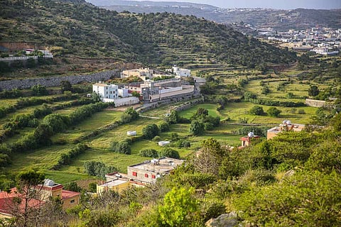 شاهد.. النماص تكتسي اللون الأخضر في أبهى حلة