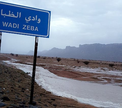 "أمطار رنية" تُخرج الطلاب من جو المذاكرة .. و"المدني" يحذّر من التنزّه