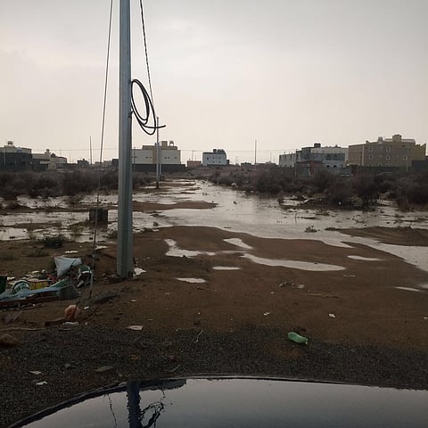 شاهد.. بؤر شاسعة من الوحل تحاصر منزل مواطن بالطائف بداخله مريض بالصرع