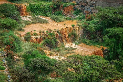 بالصور.. أمطار النماص الغزيرة تُجري أودية وتشكِّل شلالات