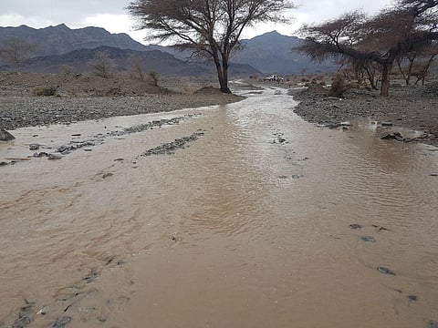 الأمطار تهطل على أحياء المدينة المنورة.. وتتواصل على المرتفعات والقرى الغربية والجنوبية