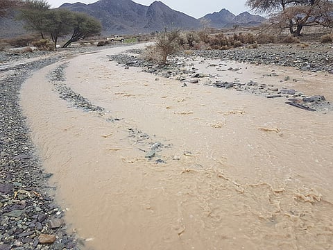 مدني المدينة: ثلاث صواعق تتسبب في حريق نخيل ومحال أعلاف