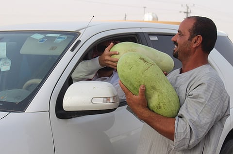 شاهد .. توزيع 3 الآف من الحبحب على المسافرين عبر وادي الدواسر