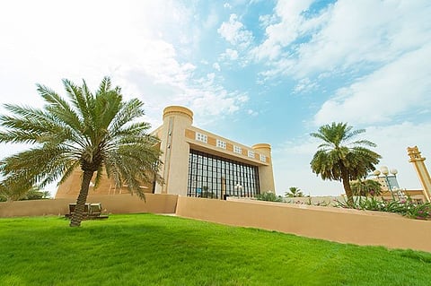 عبر طرق متخصّصة .. القضاء على 300 كلب ضال في بريدة خلال 10 أيام