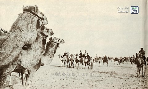 من ذاكرة السعودية.. قصة سنة "العظامية" التي اجتاحت شمال السعودية.. وهذا ما فعله الملك سعود