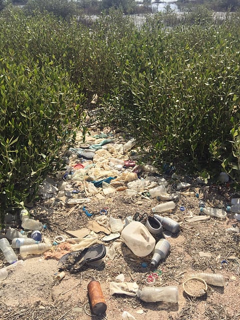 شاهد..أكوام النفايات تحاصر الكورنيش الجنوبي بينبع