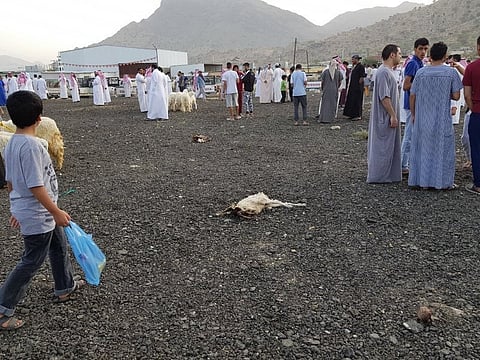 بلدية ميسان: سوق الخميس الشعبي يتبع لبلدية القريع
