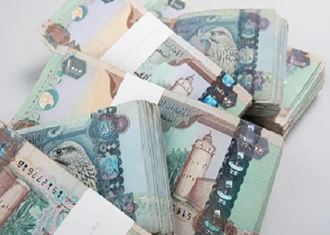 دبي.. موظفة بنك تختلس 250 ألف درهم من الحسابات الراكدة