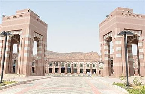 جامعة طيبة تطلق البوابة الإلكترونية للتحويل