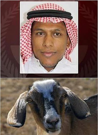 دعوة قائد "خلية الصخلة" تلقى سخرية أهالي القطيف.. و"فتوى استشهاد الإرهابيين" تثير الضحك