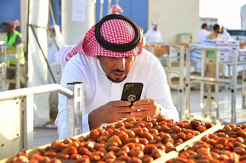سلامة التمور من المبيدات تزيد مرتادي مهرجان عنيزة