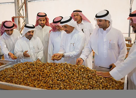 القصيم ..أسعار تمور رياض الخبراء تقفز ٣٠ ٪